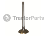 INTAKE VALVE - Massey Ferguson 3200, 3300, 3600 series