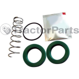 Brake Slave Cylinder Repair Kit - Massey Ferguson 300, 4200 & 4300