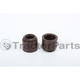 Inlet  Valve Seal  Perkins 1106C 
