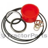 Orbital Unit Repair Kit - John Deere, Massey Ferguson