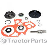 REPAIR KIT - Massey Ferguson, Landini