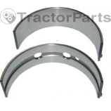 Main Bearings Case IHC Iveco engine - standart