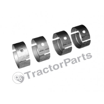 MAIN BEARING SET - Case IHC