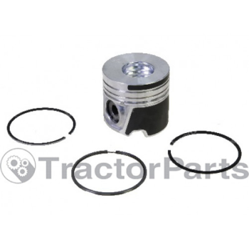 PISTON WITH RINGS STD - Case IHC, New Holland