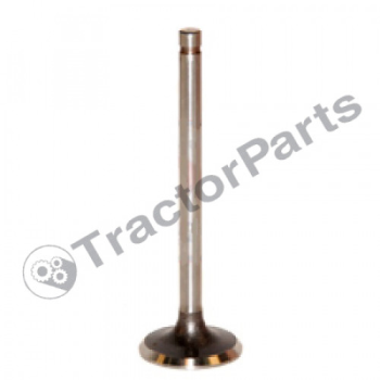 EXHAUST VALVE 0.030''-0.762mm - Case IHC, Ford New Holland, Fiat